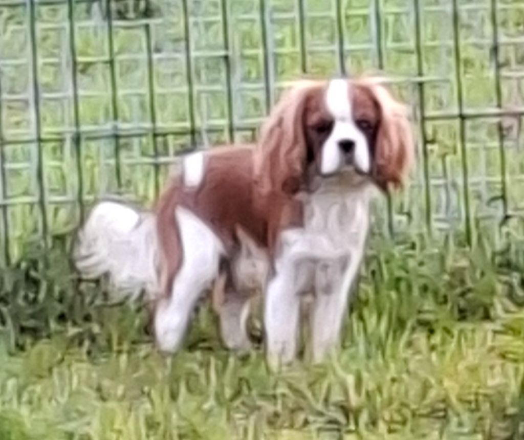 Valmont De La Maison D'herbouville